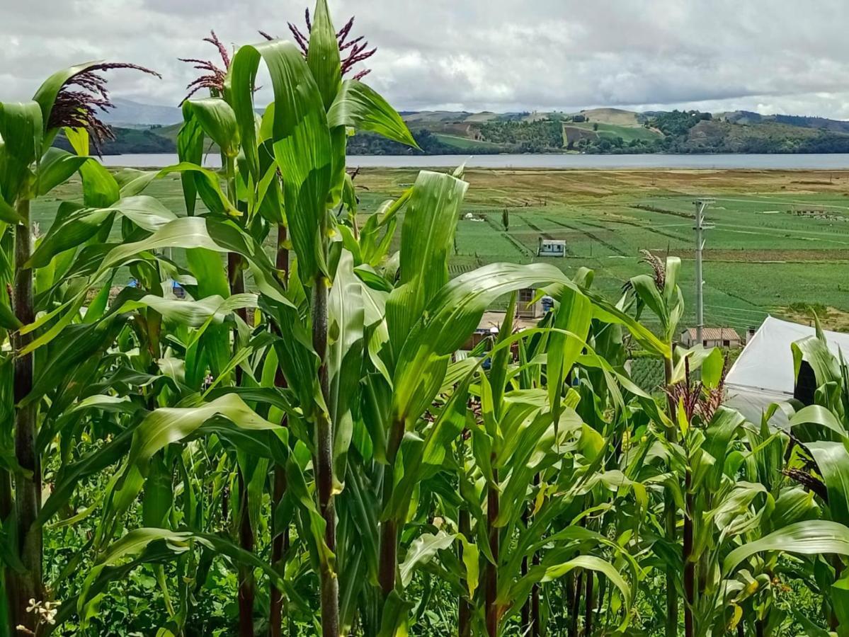 Casa Rural Zaba Lago De Tota Aquitania Kültér fotó